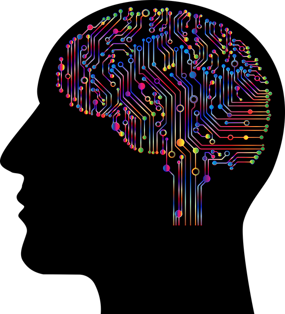[AI/DL] 딥러닝(Deep Learning)이란? 뉴런과 신경망