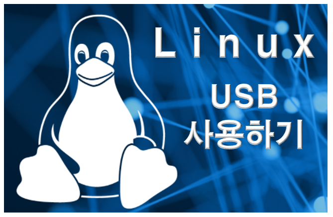 리눅스 서버에 USB 연결하여 사용하기 - 리눅스 마스터 한걸음