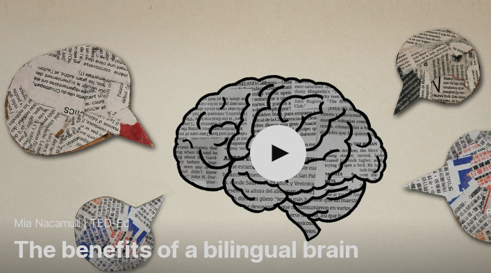 TED 테드로 영어공부 하기 The benefits of a bilingual brain by Mia Nacamulli