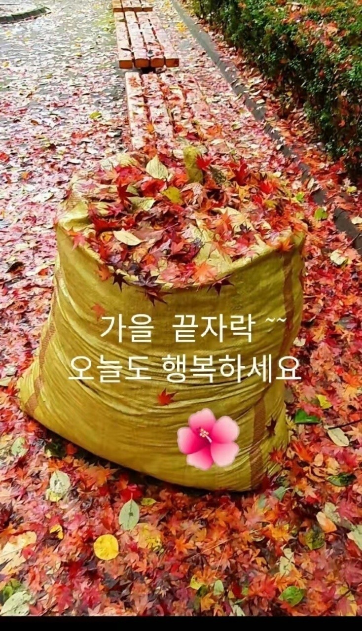 오늘의 좋은글 179번째