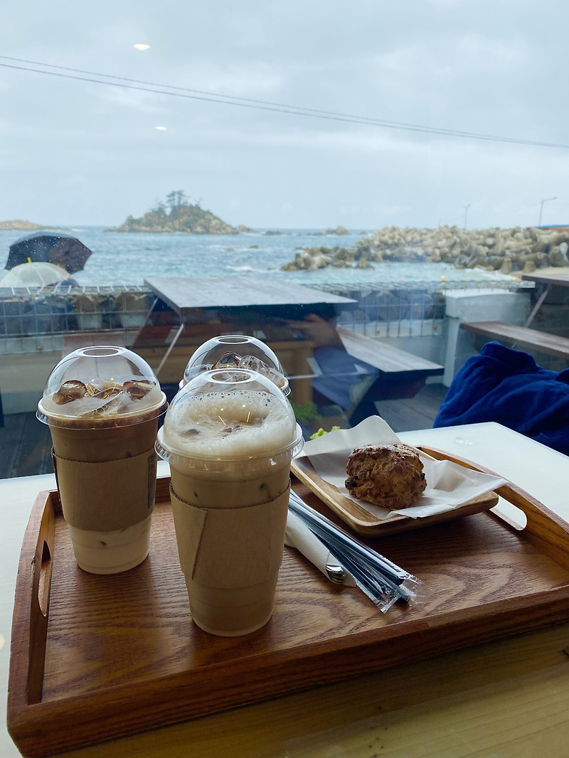 [장호항 여행] 뷰 좋은 음식점 네가있는바다 / 마카올래 이용 후기