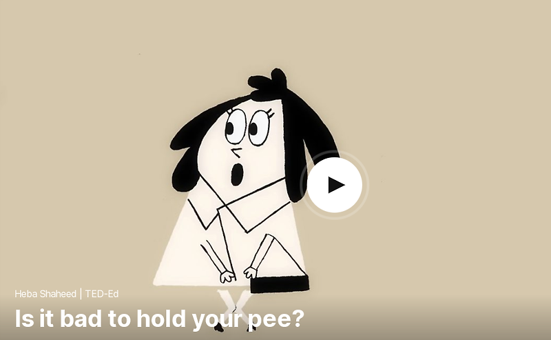 TED 테드로 영어공부 하기 Is it bad to hold your pee? by Heba Shaheed.