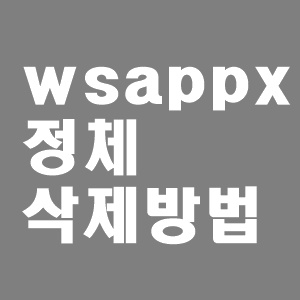 wsappx 정체와 삭제방법