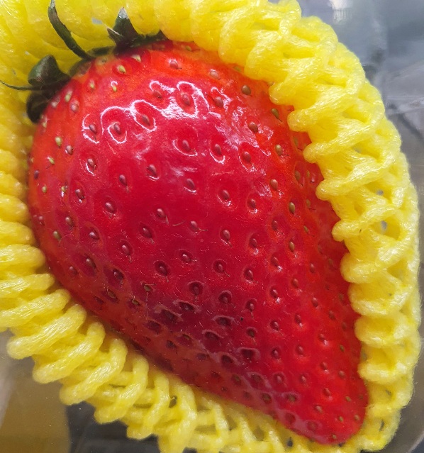 딸기 효능 10가지 부작용 딸기 씻는법