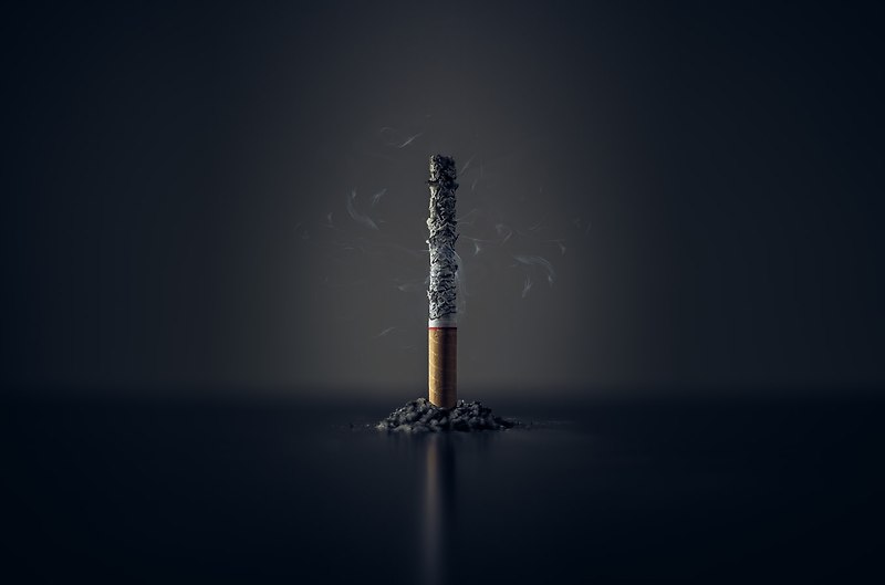 담배 구성성분 유해물질
