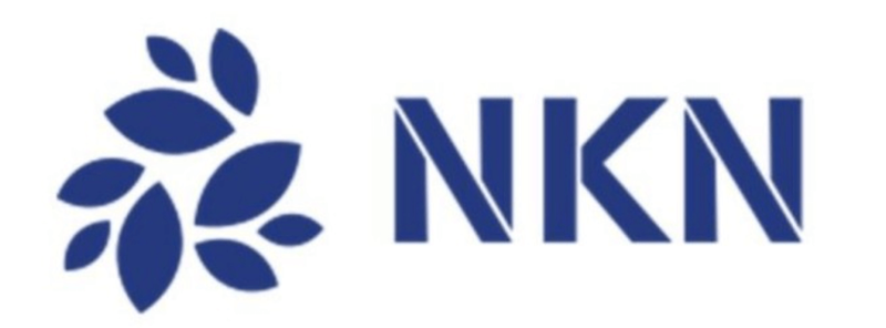 엔케이엔(NKN) 코인 전망과 가격 전망
