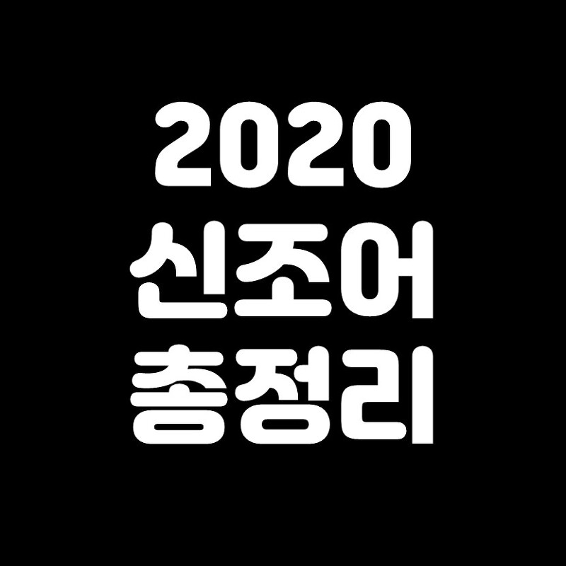 2020 신조어 총정리