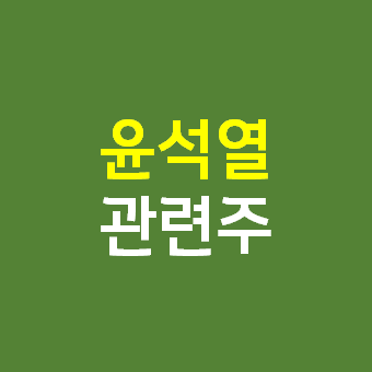 윤석열 관련주 - 덕성 서연 주가 주식 전망