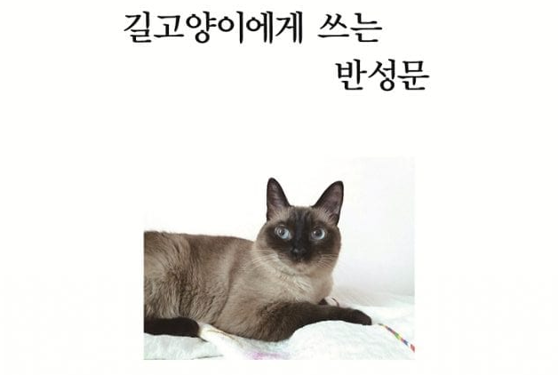 김지은 시인의 첫 시집 ‘길고양이에게 쓰는 반성문’