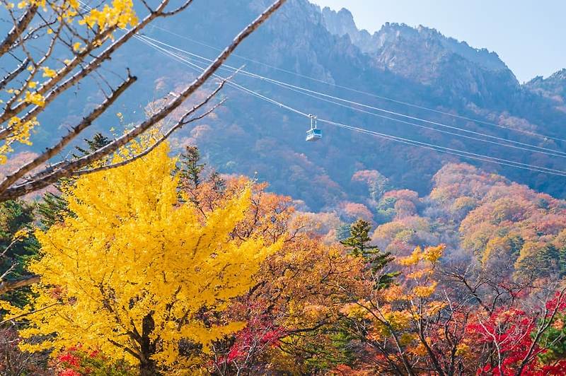 가을 색 물든 설악산 소공원 케이블카 & 권금성, 신흥사