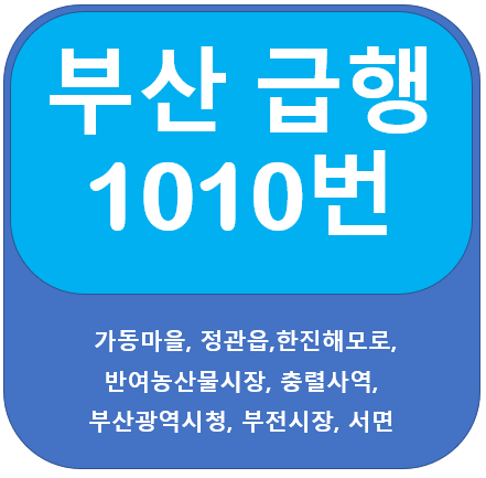 부산 1010번 버스 노선 및 시간표(심야포함)