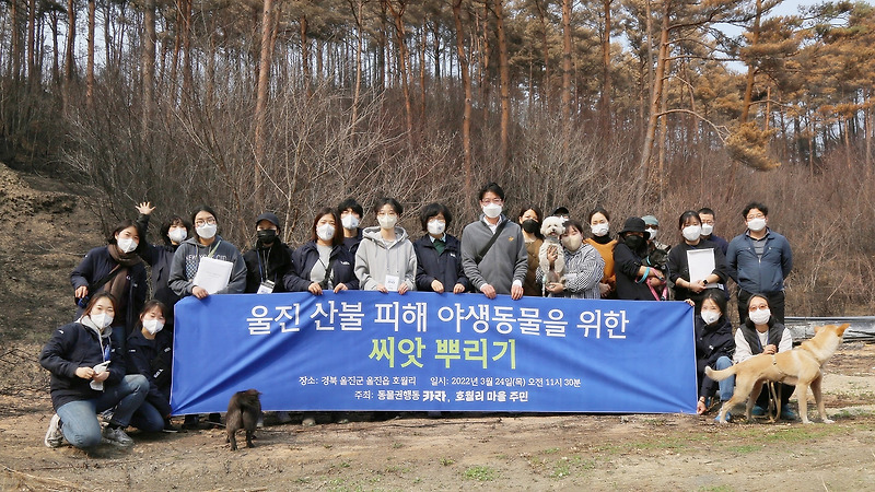 동물권행동 카라, 울진 산불 피해 현장 생태 복원 활동 전개
