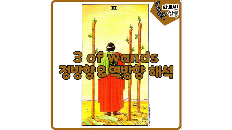 [웨이트 타로 해석] 3 of Wands  3완드 카드 정방향 & 역방향 해석