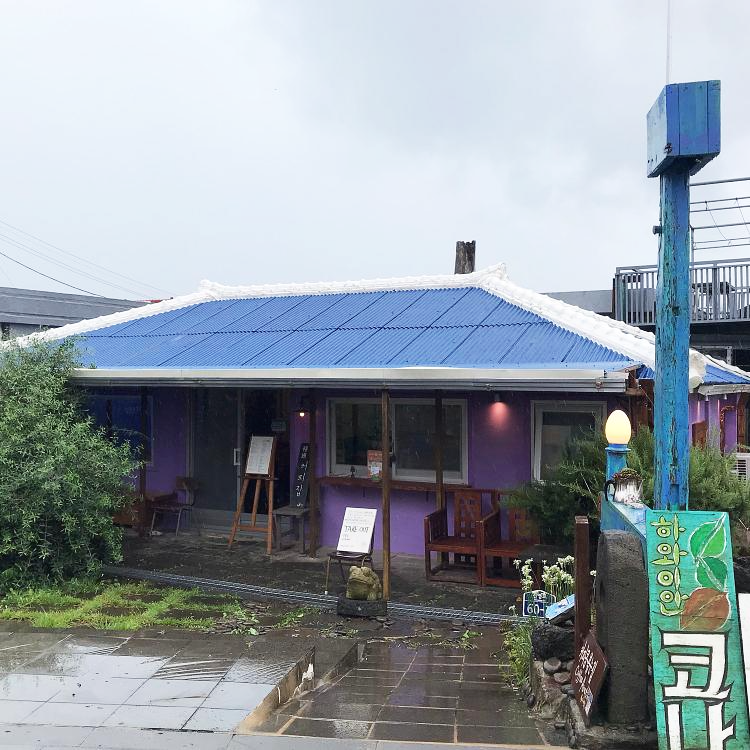 제주 나비정원 카페 ㅣ 세계 3대 커피 하와이안 커피