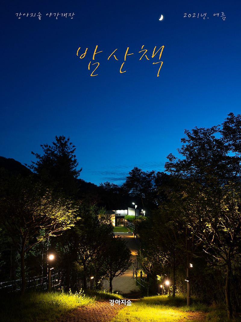 강아지숲 , '시원한 여름밤의 선물' 야간개장 오픈