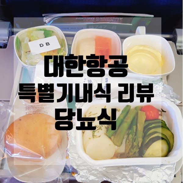 대한항공 특별기내식 당뇨식(한국-말레이시아 구간)리뷰!