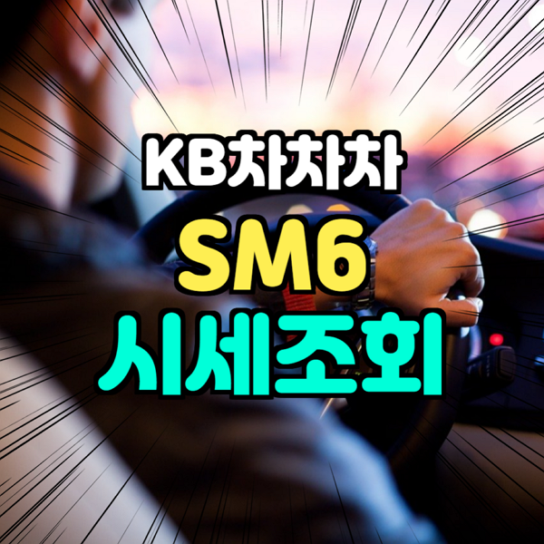 kb 국민 차차차 SM6 2019년식 조회