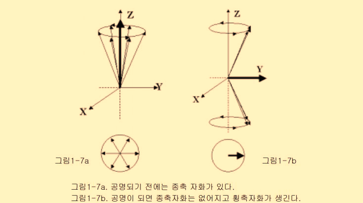 공명(Resonance)현상