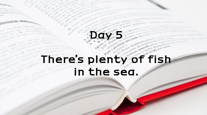 Day 5. There's plenty of fish in the sea.