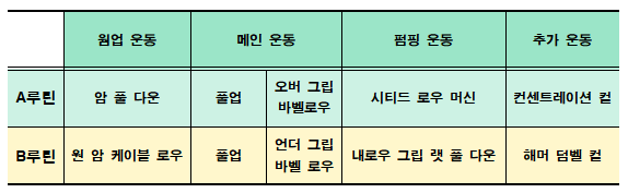 매우 효율적인 헬스 등 운동 루틴