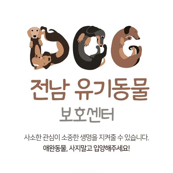 전남 유기동물보호센터 강아지 고양이 유기 동물 보호소 22곳