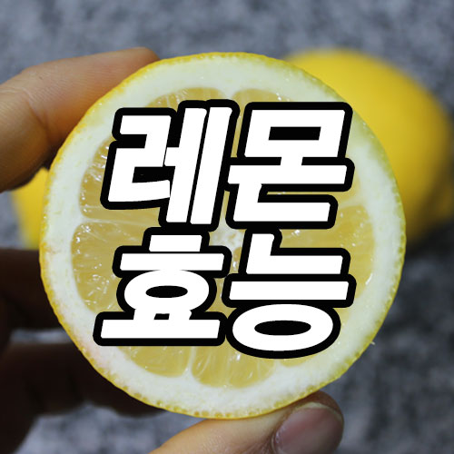 레몬 효능