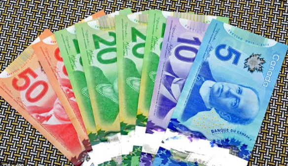 캐나다 달러가 드디어 1미달러당 80센트를 찍었습니다.