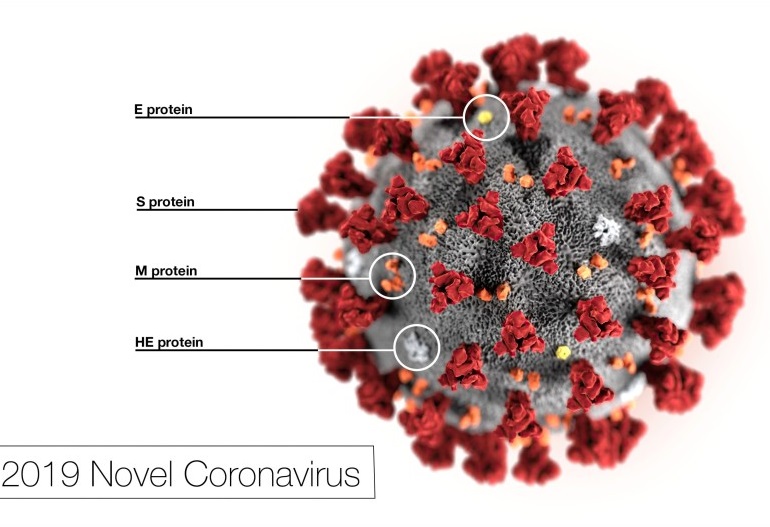 코로나 바이러스 관련 정보 - 우한폐렴 예방법, 코로나맵, 전세계 확진상황