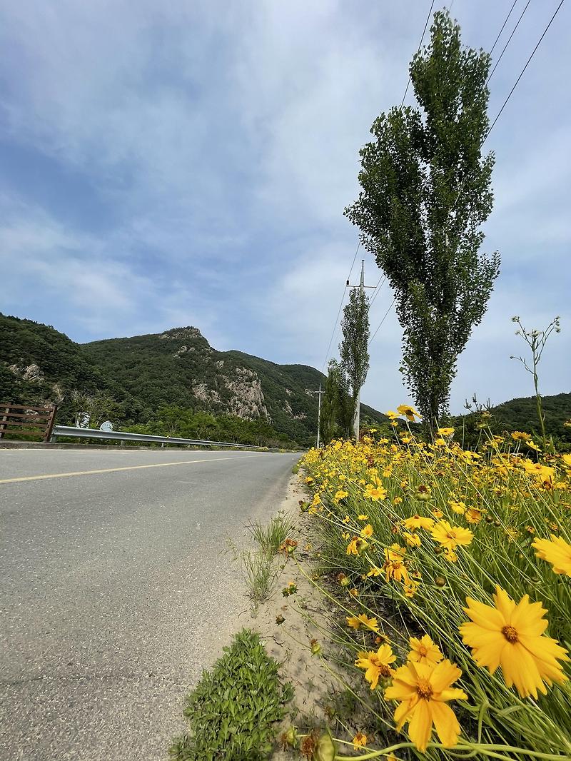 [금산]충남 금산여행 금산 가볼만한곳 추천 적벽강 오토캠핑장