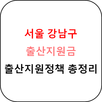서울 강남구 출산장려금 및 지원정책 총정리