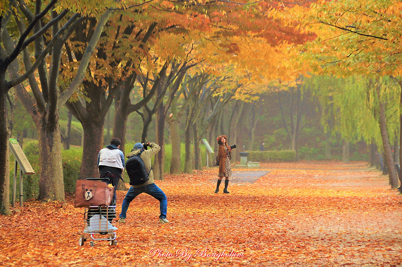 인천대공원 울긋불긋 가을단풍에 취하다