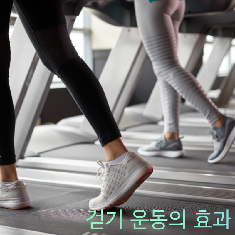 걷기만 하더라도 건강해지는 우리 몸 ! 걷기 운동을 통한 건강 예방법 !