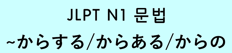 JLPT N1 일본어 문법: ~からする / からある / からの