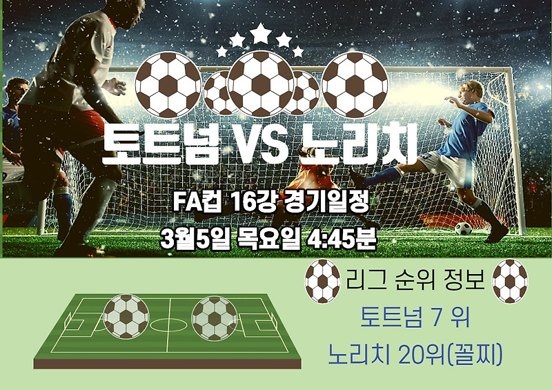 FA컵 16강전 대진표 확인 토트넘 VS 노리치 관전포인트
