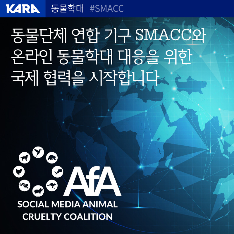 카라, 국제 동물학대 대응 연합 'SMACC' 가입