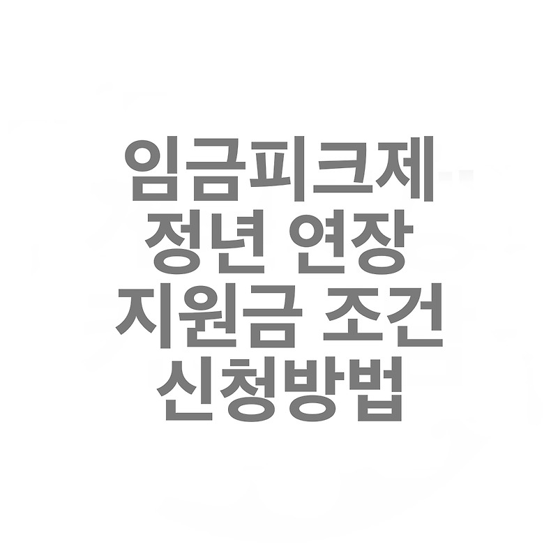 임금피크제 정년 연장 지원금 조건 및 신청방법 안내