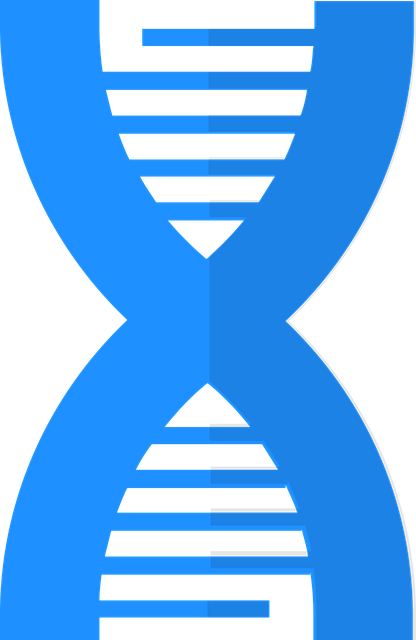 게놈 프로젝트, 인간 게놈에 대한 이야기