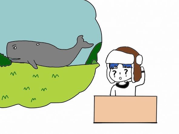 [잡다한지식] 고래&돌고래는 물 밖에서 살 수 있을까?