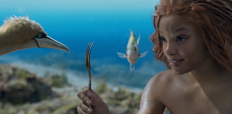 정치적 올바름 PC 떡칠한 핼리 베일리 주연의 영화 인어공주(The Little Mermaid) 흑어공주 흥행 실패 기념 진짜 에리얼 짤털