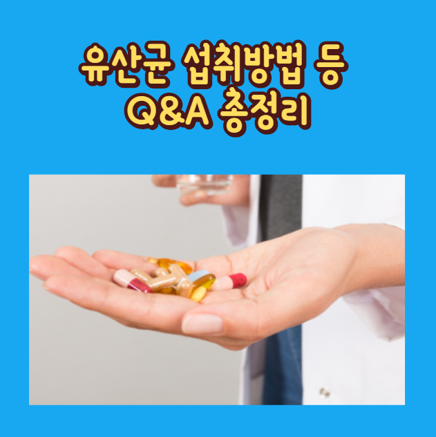 [건강상식 꿀팁] 유산균의 종류 및 효과적인 섭취방법은? (Q&A 모음)