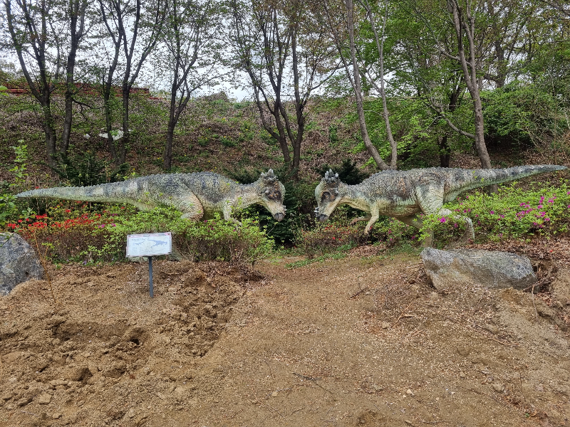 공룡 구경 덕소자연사박물관 서울 근교 가볼 만한 곳