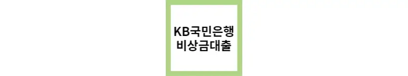 KB국민은행 비상금대출(feat.소액 신용대출)