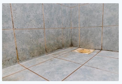 욕실 바닥의 거무스름한 얼룩은 무엇이 원인인가?
