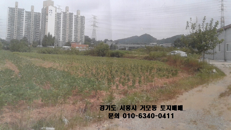 경기도 시흥시땅 거모동 땅 토지매매 투자용부지 주말농장 단필지