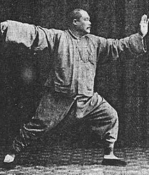 중국의 무술, 태극권2 -  태극권(太极拳taijiquan)의 유파와 특징
