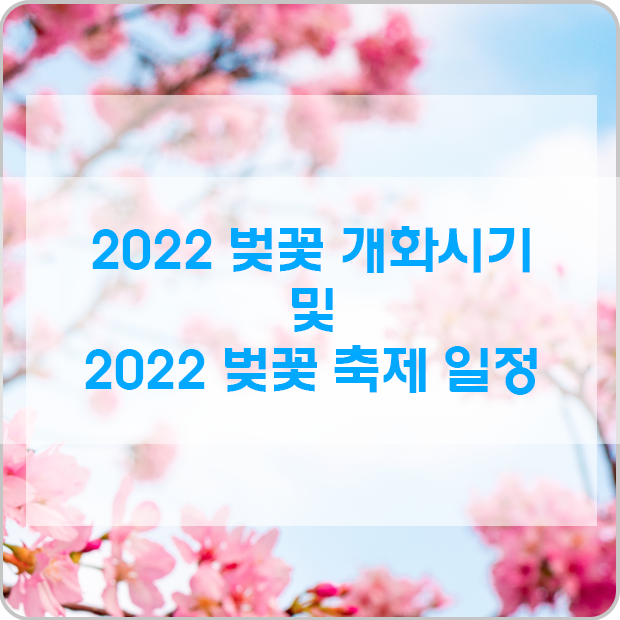 2022 벚꽃 개화시기! 올해 벚꽃 축제 어디 지역으로 갈까?