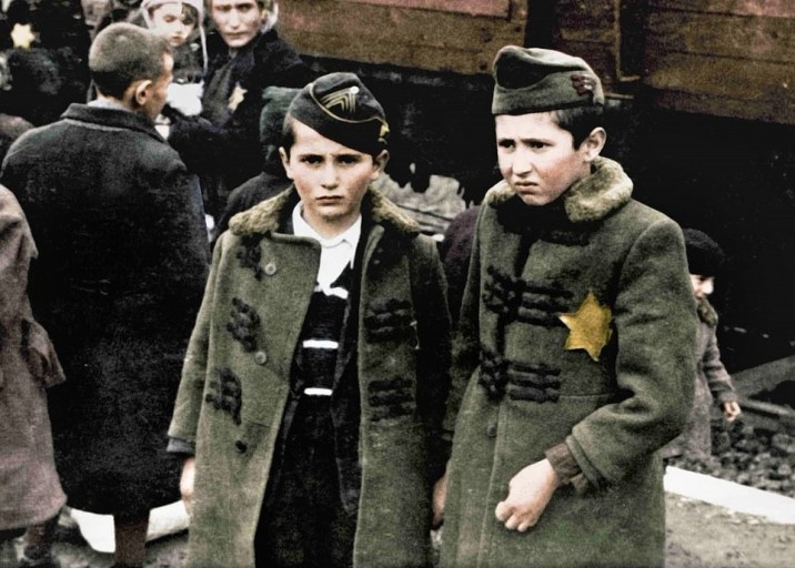 나치 수용소에서 살아남은 아이들;2차세계대전,엘리자벳 커블러 박사,나비,아이들,인간의 존엄성.