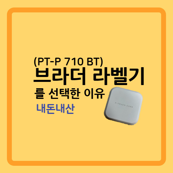 내가 브라더 라벨기(PT-p710bt)를 선택한 이유 (내돈내산)