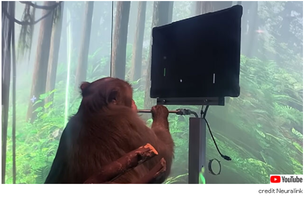 뇌에 칩을 심고 사고만으로 게임을 하는 원숭이의 영상이 공개