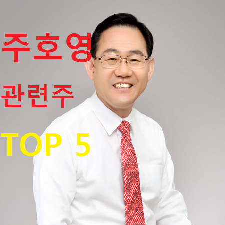 주호영 관련주 테마주 TOP 5 총정리